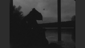thumbnail of medium Dämonische Leinwände. Teil I - Uninvited