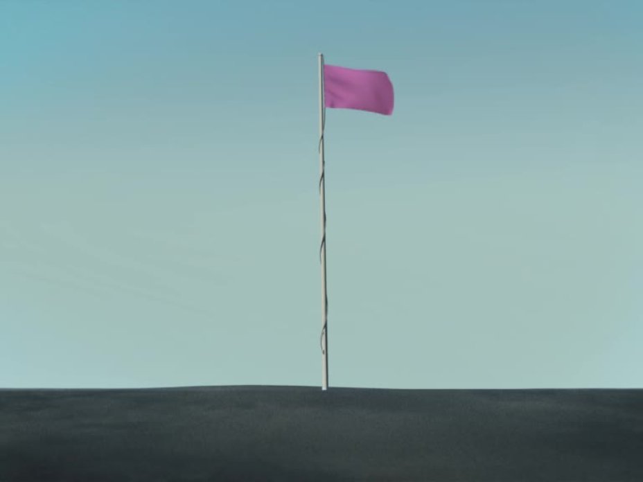 Pink Flag